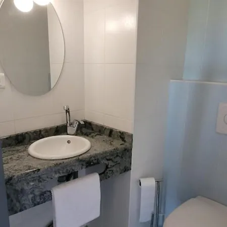 Hotel Le Cygne Yssingeaux